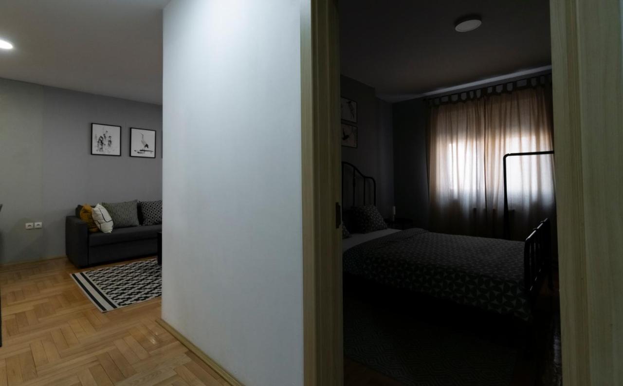 Central Fenix Apartment - Free Private Parking-Fast Wi-Fi Novi Sad Exteriér fotografie